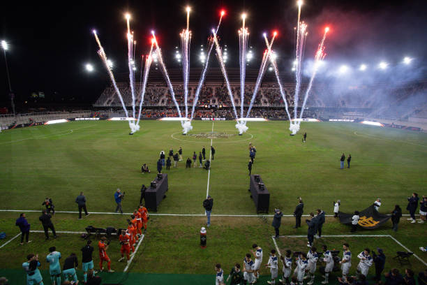 州豹在关键 州豹在关键