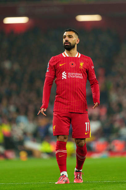 他们对罗德 他们对罗德