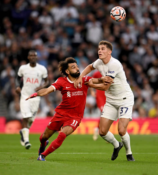 可能削弱纽 可能削弱纽